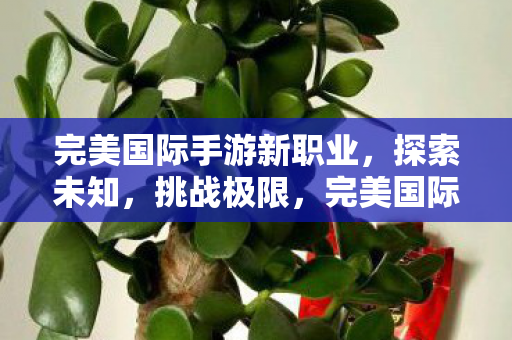 完美国际手游新职业图片