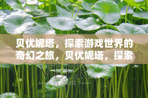 贝优妮塔，探索游戏世界的奇幻之旅，贝优妮塔，探索游戏世界的奇幻之旅