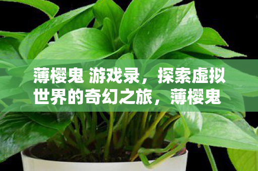 探索虚拟世界的奇幻之旅图片