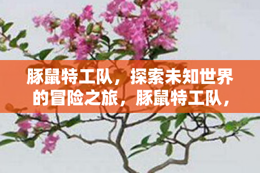 探索未知世界的冒险之旅图片