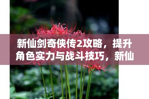 提升角色实力与战斗技巧全攻略图片