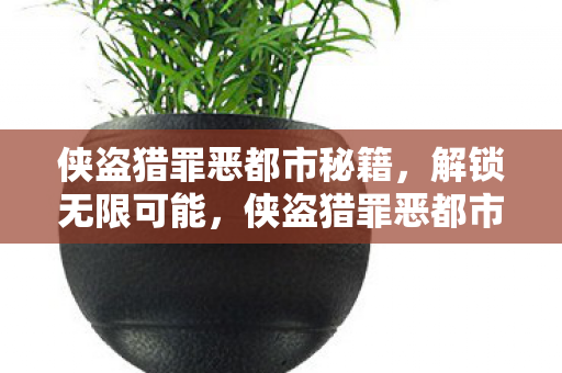 侠盗猎罪恶都市秘籍图片