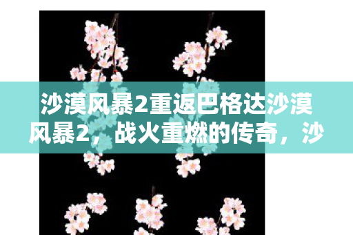 沙漠风暴2重返巴格达沙漠风暴2图片