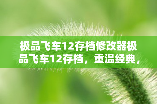 极品飞车12存档修改器极品飞车12存档图片