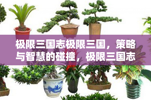 极限三国志极限三国图片