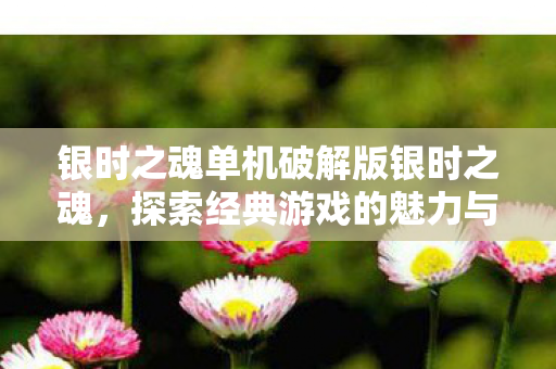 银时之魂单机破解版银时之魂图片