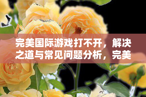 完美国际游戏打不开怎么办图片