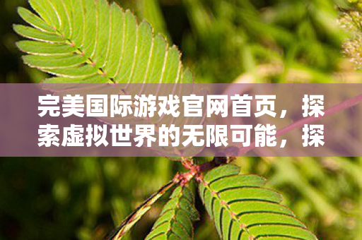 探索虚拟世界的无限可能图片