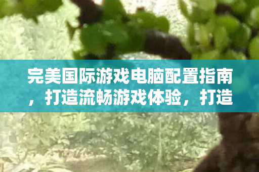 完美国际游戏电脑配置指南图片