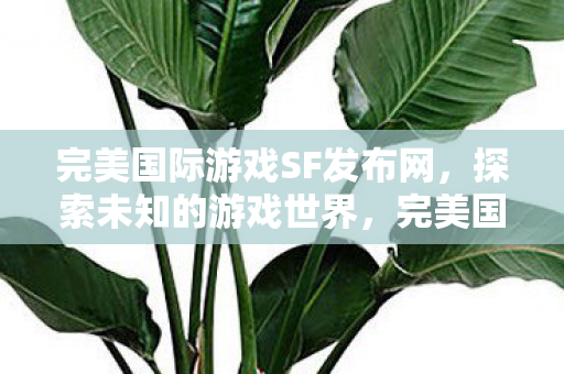 完美国际游戏SF发布网图片