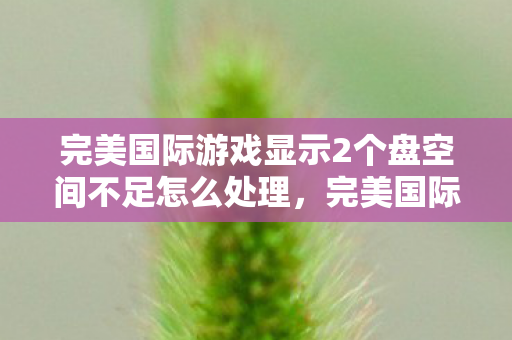 完美国际游戏显示2个盘空间不足怎么处理图片