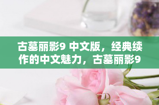 经典续作的中文魅力展现图片