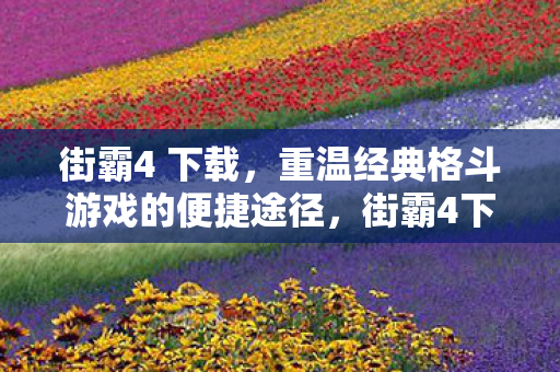 重温经典格斗游戏的便捷途径图片