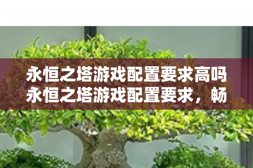 永恒之塔游戏配置要求高吗永恒之塔游戏配置要求图片