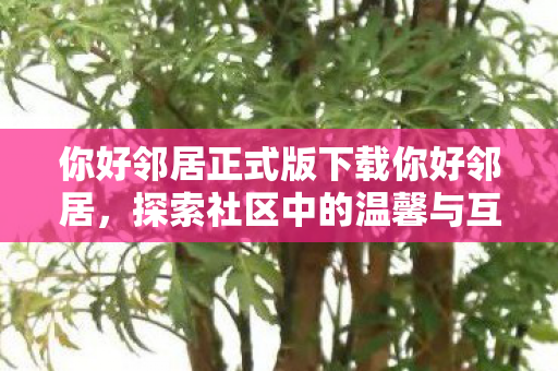 你好邻居正式版下载你好邻居,探索社区中的温馨与互助 你好邻居正式版下载你好邻居,探索社区中的温馨与互助