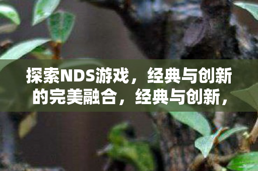 探索NDS游戏,经典与创新的完美融合,经典与创新,探索NDS游戏的完美融合 探索NDS游戏,经典与创新的完美融合,经典与创新,探索NDS游戏的完美融合