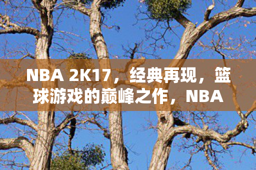NBA 2K17,经典再现,篮球游戏的巅峰之作,NBA 2K17,篮球游戏巅峰再现 NBA 2K17,经典再现,篮球游戏的巅峰之作,NBA 2K17,篮球游戏巅峰再现