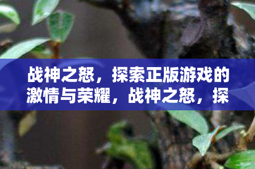 探索正版游戏的激情与荣耀图片