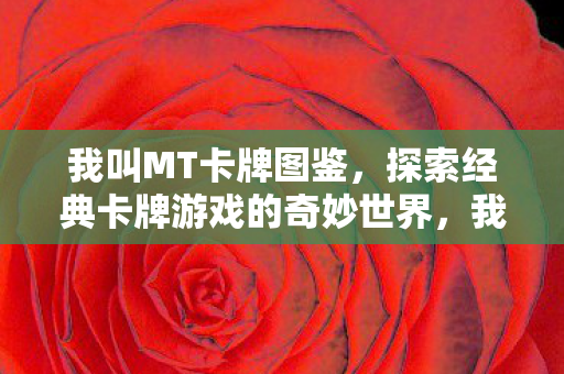 探索经典卡牌游戏的奇妙世界图片