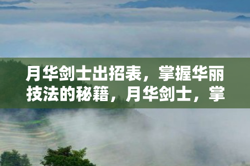 掌握华丽技法的秘籍出招表图片