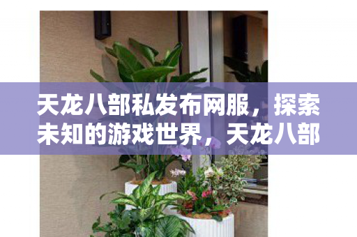 天龙八部私发布网服图片
