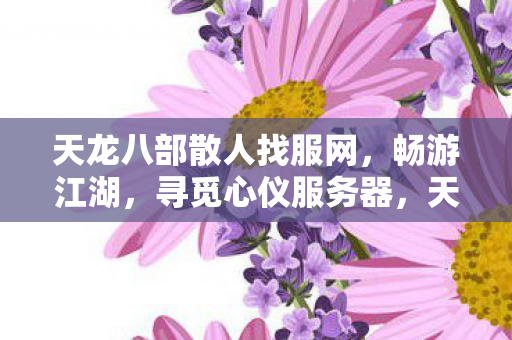 天龙八部散人找服网图片