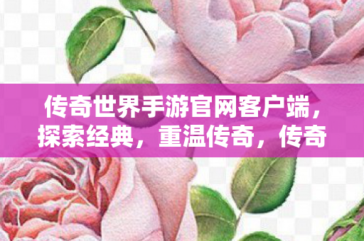 传奇世界手游官网客户端图片