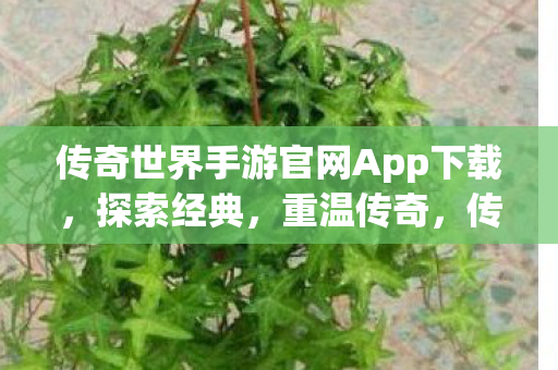 传奇世界手游官网App下载图片