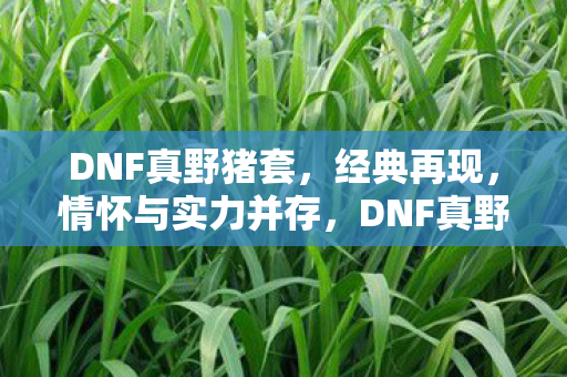 DNF真野猪套图片
