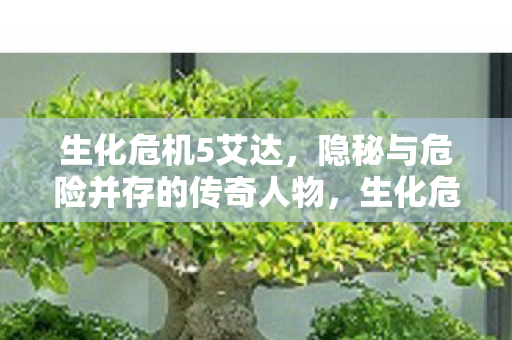 隐秘与危险并存的传奇人物图片