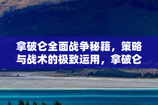 策略与战术的极致运用秘籍图片