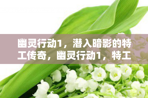 潜入暗影的特工传奇图片