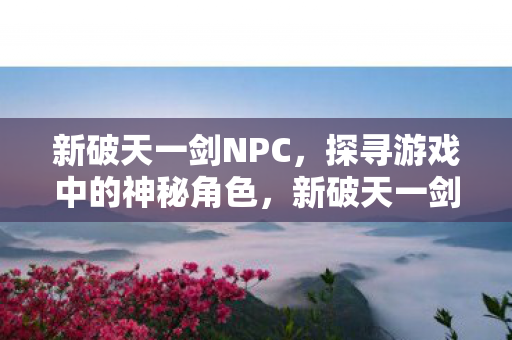探寻游戏中的神秘NPC角色图片
