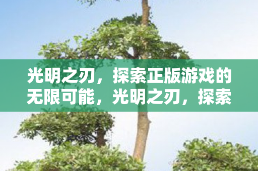 探索正版游戏的无限可能图片