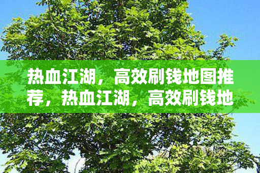 高效刷钱地图全攻略图片