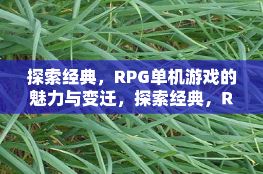 RPG单机游戏的魅力与变迁图片