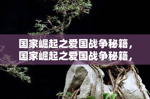 国家崛起之爱国战争秘籍图片