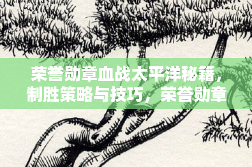 荣誉勋章血战太平洋秘籍图片