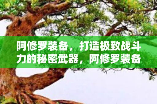 打造极致战斗力的秘密武器图片
