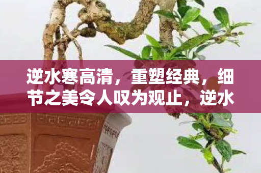 细节之美令人叹为观止图片