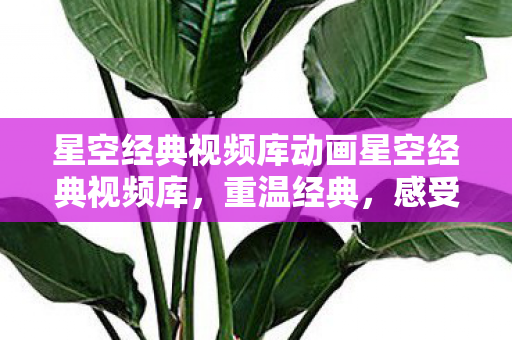 星空经典视频库动画星空经典视频库,重温经典,感受影视魅力,重温经典,星空经典视频库,感受影视魅力 星空经典视频库动画星空经典视频库,重温经典,感受影视魅力,重温经典,星空经典视频库,感受影视魅力