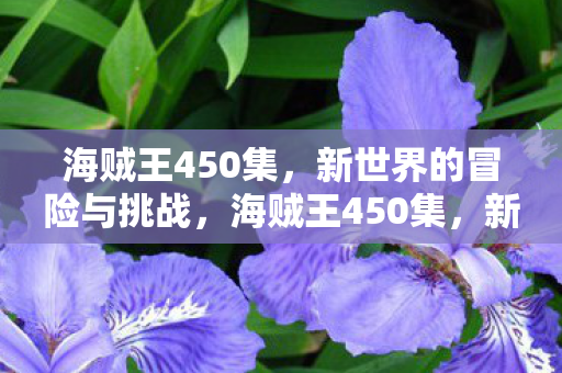 新世界冒险与挑战开启图片