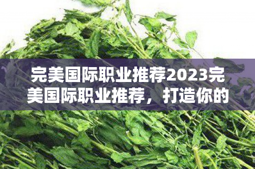 完美国际职业推荐2023完美国际职业推荐图片