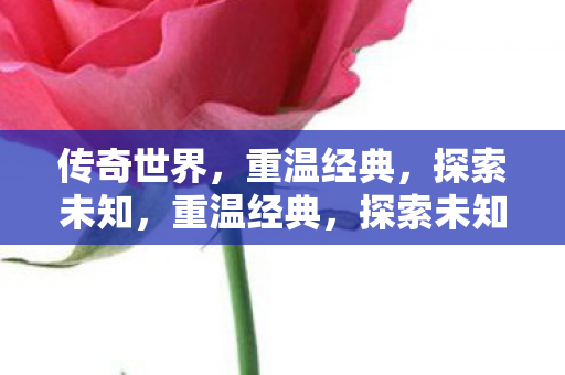 传奇世界的奇幻之旅图片