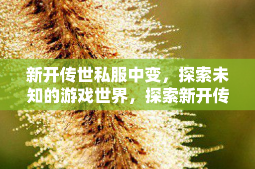 未知的游戏世界等你来发现图片