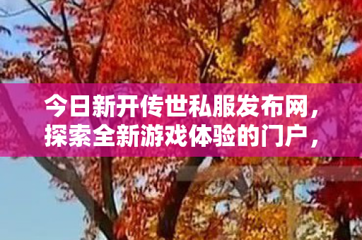 今日新开传世私服发布网图片