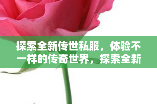 体验不一样的传奇世界图片