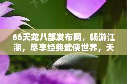 66天龙八部发布网图片