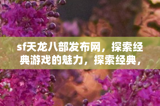 sf天龙八部发布网魅力无限图片