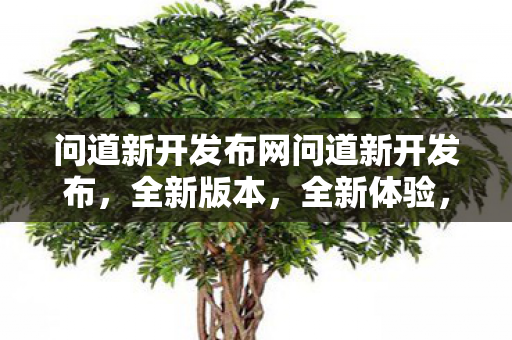 问道新开发布网问道新开发布，全新版本，全新体验，问道新开发布，全新版本，全新体验